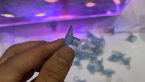 Hít giữ dây sủi oxy phi 4 dùng cố định dây sủi oxy cho các bể kính trong nhà