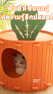 🥕 คอนโดแมว บ้านแมว สองชั้น ที่นอนแมว ของเล่นแมว มีปุยบอลห้อยอยู่ โครงปีนแมวหลายระดับ ไม่ใช้พื้นที่ บ้านแมว ปราสาทแมว คอนโดแมว ตึกแมว คอนโดแมวทรงกระบอกดีไซน์ญี่ปุ่น