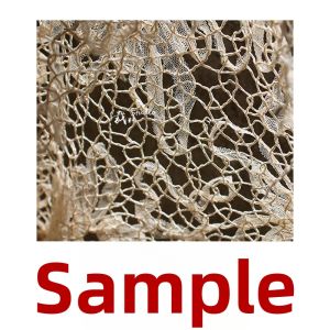Original Beige Hollow Embroidery Sheer Fabric