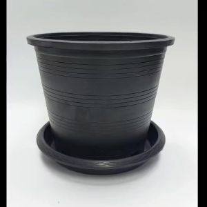 จานรองกระถางต้นไม้พลาสติก สีดำ ขนาด 6นิ้ว และ 8นิ้ว (แพ็ค 10 ใบ)