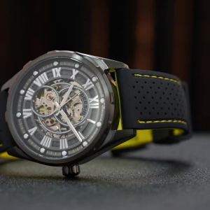Deesio Automatic Mechanical Skeleton Watch Men Luxury Stainless Steel Water Resistant Luminous Hands Business Casual Wristwatch