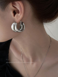 Trendy Minimalist Metal Hoop Earrings for Women Fashionable Unique Design High-End Feel Exaggerated Internet Famous Ear Jewelry