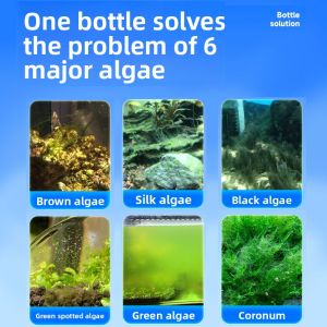 MONLEYTA | Algae Remover Pond Water Treatment Black Hair Algae Brown Algae Thread Algae Netting Agent Fish Tank Algae Removal Solution