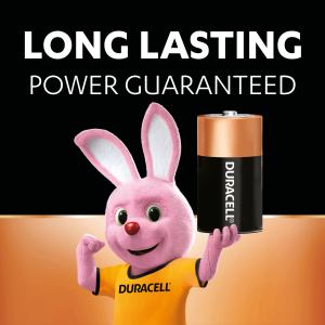 Bundle of 2 Duracell Alkaline C2 Batteries Pack of 2