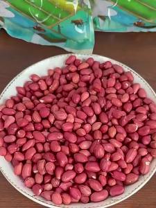Red Small Four Kernel Fresh Peanuts 2025