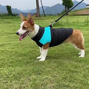 Waterproof Winter Dog Clothes Warm Pet Cotton Jacket Vest For Small Large Dogs Puppy French Bulldog Coat Chihuahua York Costume