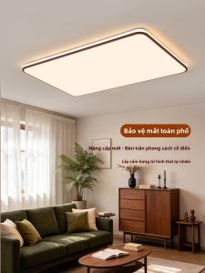 DGY | Modern Simple Elegant Eye-protection Ceiling Light For Living Room