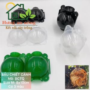 BCTQM - Bầu nhựa chuyên hỗ trợ chiết cành giúp rễ chiết sinh trưởng và phát tốt ( size M - 8x10cm )