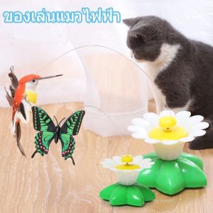 【Scten】เล่นแมว หมุนอัตโนมัติ นกบิน ผีเสื้อรอบดอกไม้ เล่นแมว อาหารบ้าน ของเล่นแมว