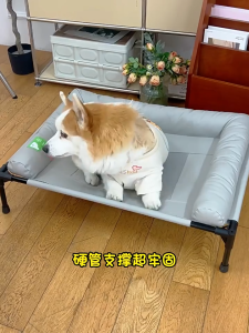 【🔥🔥SG SPOT】Extra Large Elevated Dog Bed Waterproof Non Stick Fur Cooling Pet Lounger Bed Mesh Cot Bedding