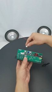 Wuzhi Audio | 10 inci 220 V tiga penggunaan mobil bluetooth amplifier papan audio karaoke USB FM radio player subwoofer DIY