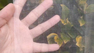 Insect Net White Nylon Mosquito Net 300x1000CM Garden Insect Netting 60 Mesh Netting Bird Pest Bug