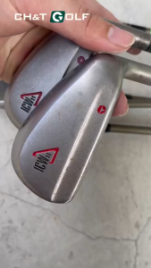 Bộ gậy golf sắt nam Taylormade ICW11 7 cây 56789SP Flex twist