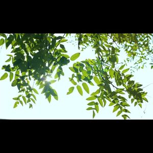 Cooling Mini Handheld  Fan with LED Display & 100 Adjustable Speed Settings K39 F83