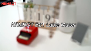 NIIMBOT B21 Label Maker Printer Portable Bluetooth Thermal Printer Sticker Printer Barcode Printer Commodity Price Tag Printer