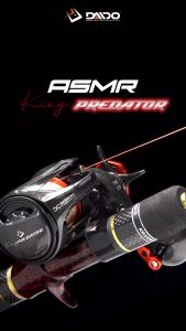 Reel BC BaitCasting Daido KING Predator SW 300 Kanan / Kiri (6+1 Bearing) 7.2:1 Drag 15kg Murah - Toms Fishing