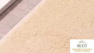 Doormat non slip premium quality quick dry durable matt super absorbent anti slip for indoor and outdoor
