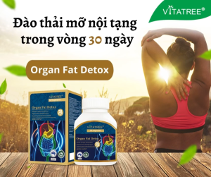 Vitatree Organ Fat Detox giúp đào thải mỡ nội tạng thải độc gan | Nhập khẩu chính hãng Úc