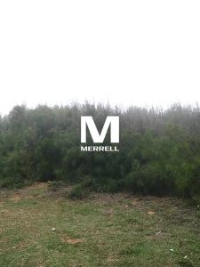 Merrell | Light Breathable UV Protection Sun Skin Jacket