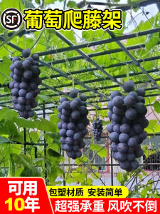 ชั้นวางต้นไม้สำหรับต้นไม้ในสวนกลางแจ้ง ร่มไทร วัสดุเหล็กสแตนเลส ชั้นวางต้นไม้สำหรับฤดูใบไม้ผลิ ฤดูร้อน ฤดูใบไม้ร่วง ฤดูหนาว