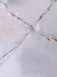 【stain removal 100% 】Heavy duty Tiles Cleaner 500ML100 years stain free tiles stain remover Tiles are 10 times brighter than mirrors toilet tiles cleaner瓷砖清洁剂 bathroom floor cleaner Tile Cleaner Toilet Bathroom Cleaner Toilet bowl cleaner Floor cleaner