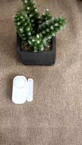 DOORS AND WINDOWS ENTRY ALARM