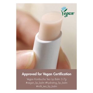 [MISSYKIM] Dr.Ceuracle VEGAN KOMBUCHA TEA LIP BALM ลิปบาล์มบำรุงริมฝีปากที่แห้งเป็นขุย ล็อกความชุ่มชื่น เนื้อบาล์มบางเบาไม่เหนียว 3.7g