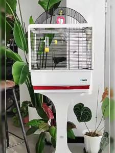 Lồng Chim Vẹt Kim Loại Dùng Để Nuôi Lớn
