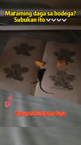 50pcs Super Strong Adhesion Mouse & Rat Trap Glue Board Sticky Mouse Board Mouse Glue Trap Mouse Sticky Board Bait Traps for Rat Rodent Cockroach and Other Household Traps Sticky Pad Board Big Mouse Strong Glue Pad Sticky Mice Glue Trap Rats Board Bait