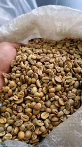 Kopi Kepi ROBUSTA Lanang Premium 250g 100% Original