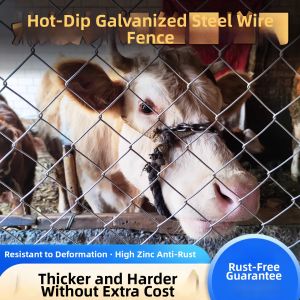 XINFANGCHENG | Rust-Resistant Hot-Dipped Galvanized Wire Fence Net