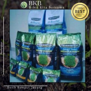 Biji rumput jepang 300gram - Jual benih rumput jepang 100-300gram