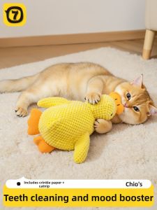 7o | Teething and Sound Making Cat Toy