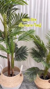 ต้นหมากเหลือง 60-160 CM ต้นไม้ปลอม ต้นไม้แต่งบ้าน พร้อมกระถางสีดำ ต้นสูง สุขสันต์ให้คุณเลือก