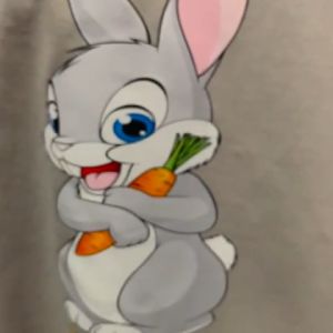 Kaos anak perempuan gambar KELINCI LUCU usia 2-14th combat 30S