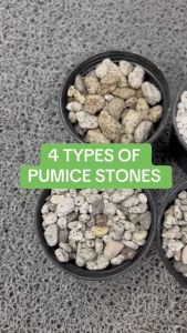 Pumice Stones 1Kg Matangito Monggo 1Cm Corn 3/8 and 3/4 Size