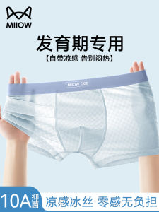 Antibacterial Ice Silk Boxer Briefs for Teenage Boys Sports Underwear Comfortable Elastic Waist mid Waist Briefs for Students