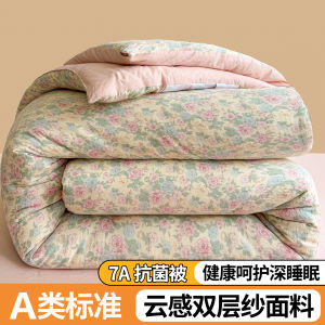 Antibacterial Double Layer Fabric Quilt Core Blanket Duvet Cover for Dormitory Single And Double Bed All Seasons Universal