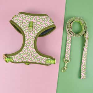 Valentines Day and New Years gift Cute Design Adjutable Luxury Designer Pet Harness &1 Pcs Color Matching Pet Dog Leashes