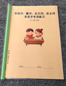 First Grade Lower Term Chinese Language Word Specialty Training Neighboring Antonym Same Multinton Syllable Descriptive Word Classification Practice