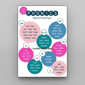 (6PCS BUNDLE) PHONICS LONG VOWELS SOUNDS CHARTS FOR KIDS | A4 Size | Laminated Kids Educational Wall Charts Teaching Resources | Learning Phonics for Babies Kids Toddlers Preschoolers