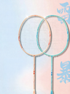 Dracaena | Thunderstorm Offensive Durable Badminton Racket
