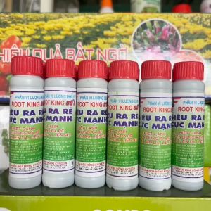 1 HỘP 30 ỐNG 20ml Kích Thích Ra Rễ Cực Mạnh ROOT KING Hàng Đẹp Chuyên Giâm Chiêt Cành