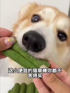 ZHUCHONG | Thức Ăn Huấn Luyện Từ Cỏ Khô Cho Chó