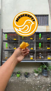 Pet Bird Waterer: A Comprehensive Guide