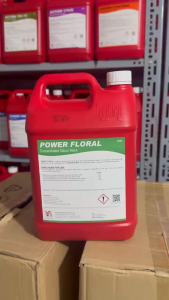 [KLENCO] Nước lau sàn khử mùi diệt khuẩn POWER FLORAL Can 5l Klenco Singapore - CLEAN MART