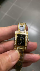 Vavis VAVIS24JR9058GW Luxury Ladies Wristwatch (Gold)