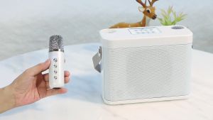 YS-224 Karaoke Set Portable Wireless Home KTV System Mini Bluetooth Speaker Portable Karaoke With 2 Mic Amplifiers Home Gift