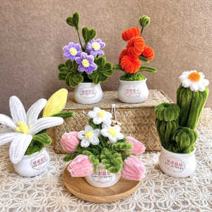 Teachers Day Gift Teacher Bouquet Handmade Flowers Artificial Flower Small Pot Plant Desktop Decoration Car Decoration Twisted Stick Floral