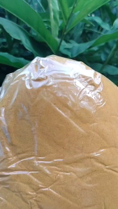 နနွင်းမှုန့် ผงขิ้นแห้งพม่า950กรัม